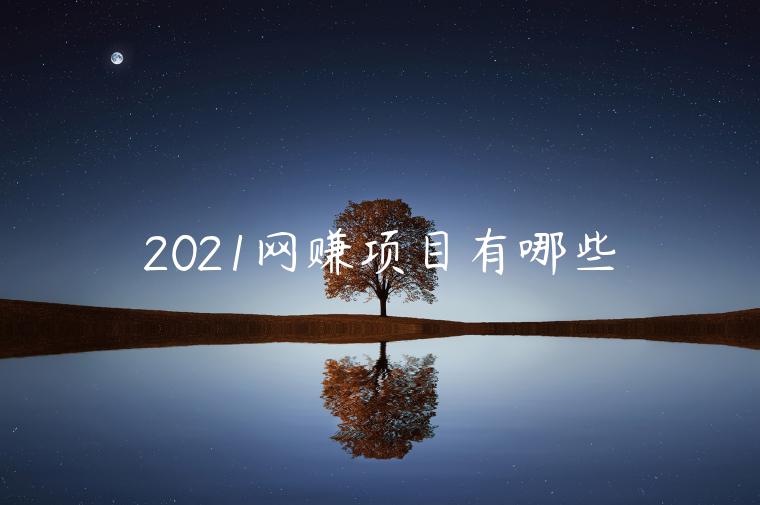 2021網(wǎng)賺項(xiàng)目有哪些